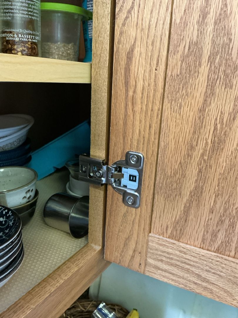 Kitchen cabinet with a metal hinge. The door is open, revealing dishes and spices.