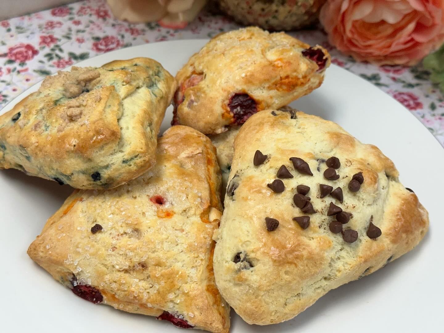 Assorted scones on a white plate, some with chocolate chips and dried berries.