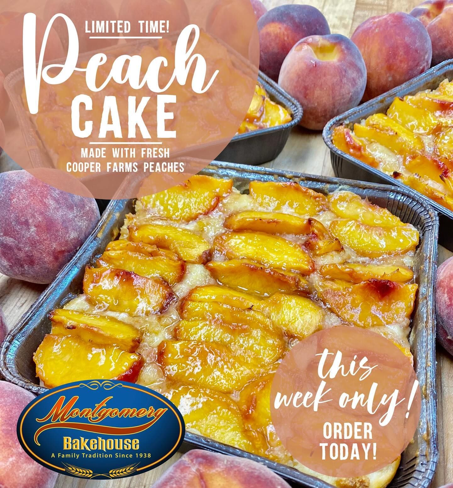 Peach cake advertisement: baked cake with fresh peaches, 