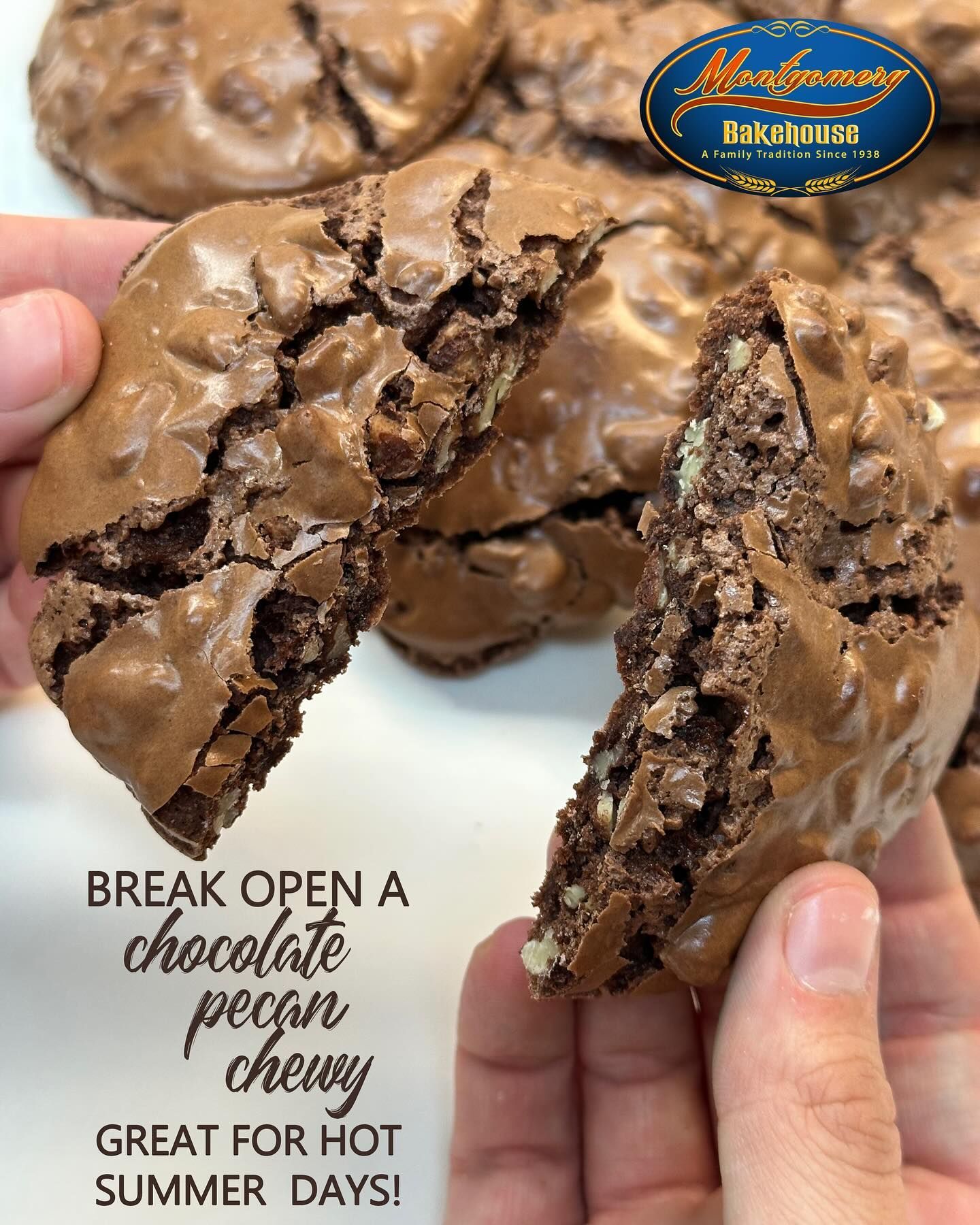 Hands break open a chocolate pecan chewy cookie. Cookies are brown, image has a white background.