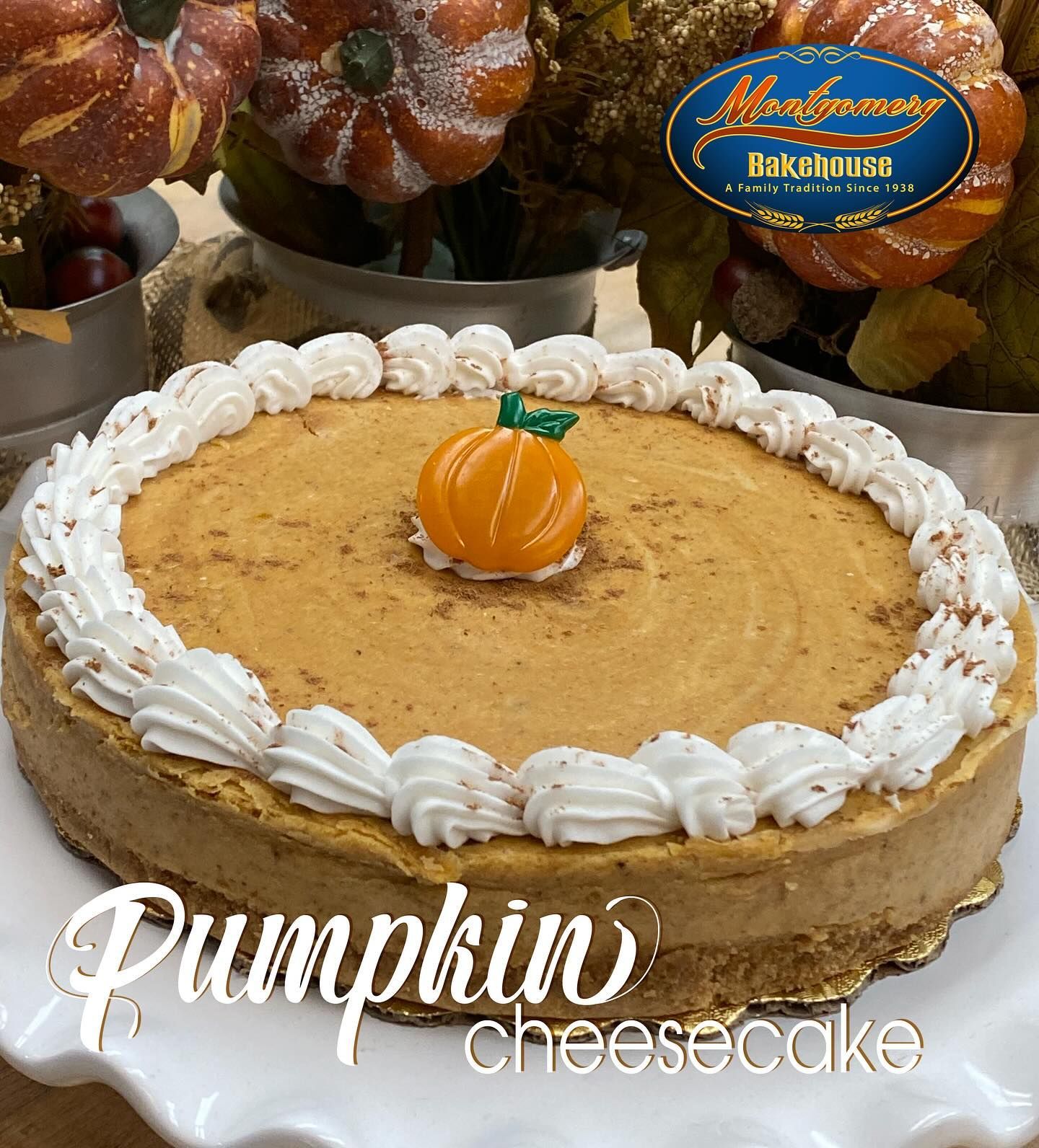 Pumpkin cheesecake with whipped cream around the edge, topped with a candied pumpkin.