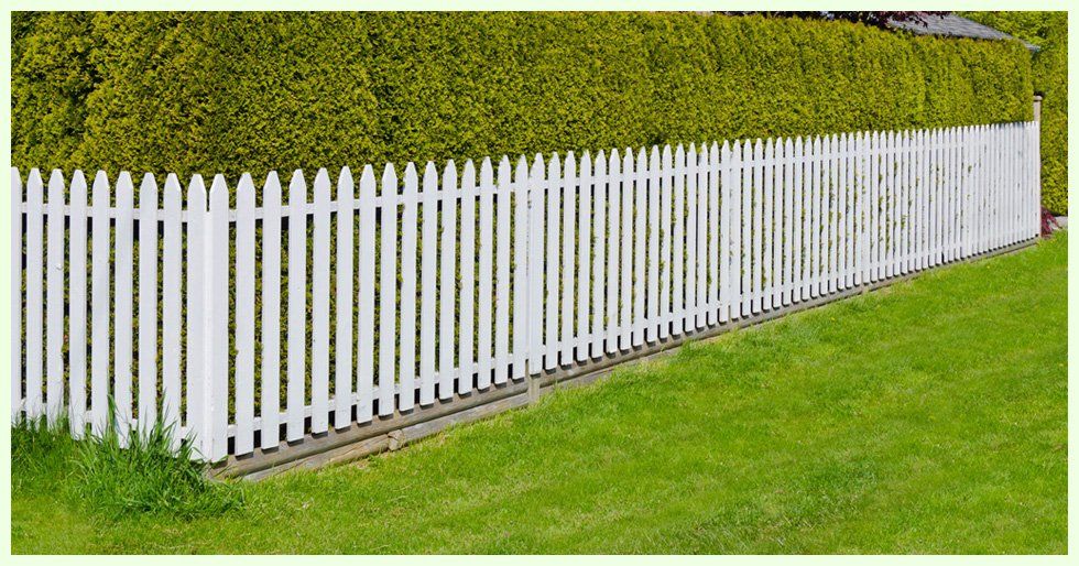 white fence in a backyard