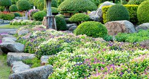 a garden of flowers with stones