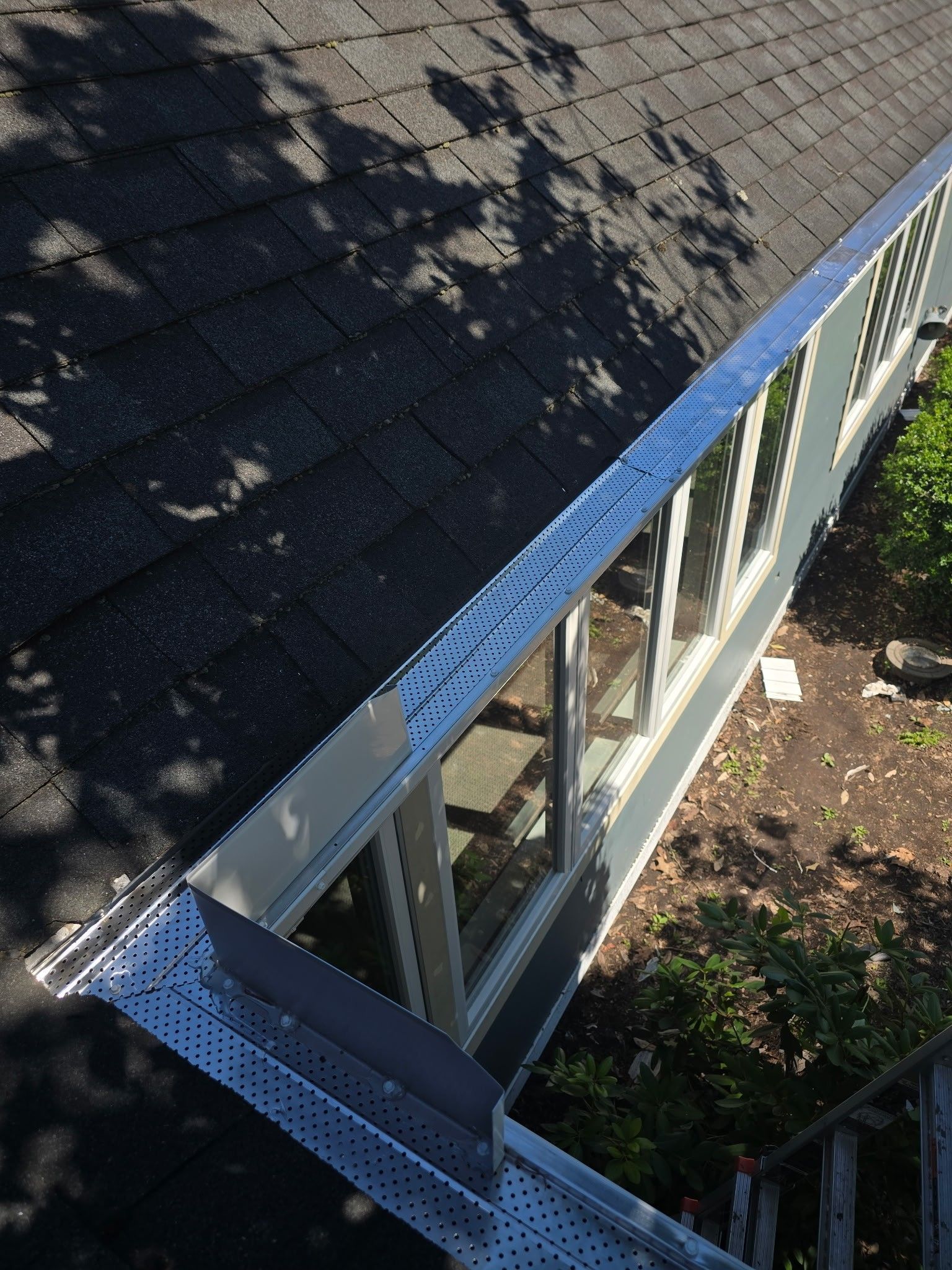 Roof with skylight windows and blue trim beside tree shadows