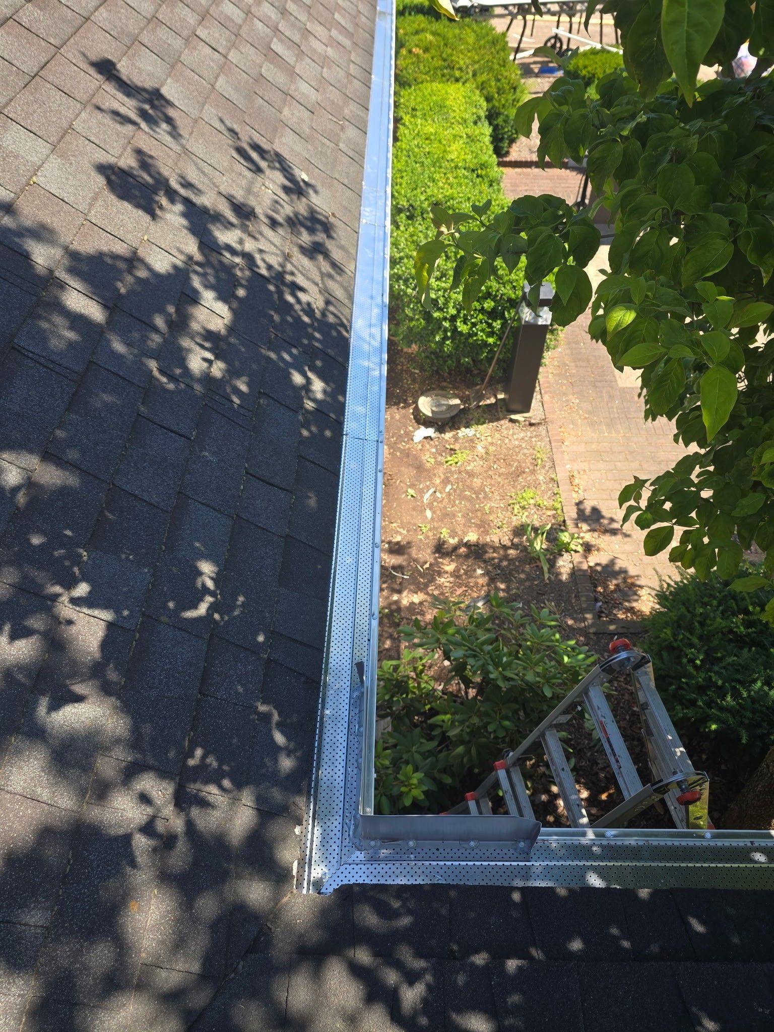 View from a rooftop edge with a gutter, shingles, tree shadows, and a ladder below in a yard.