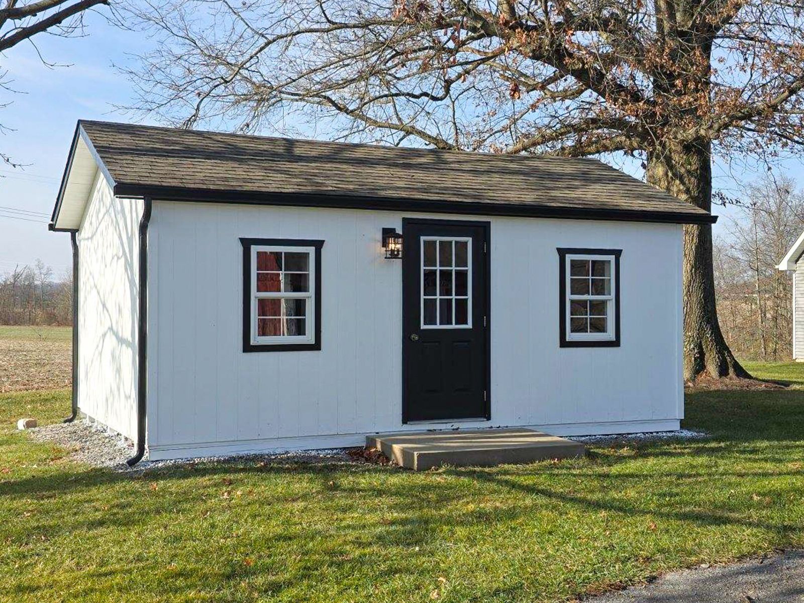Small white shed with a black door and windows, standing on a grassy lawn beside a large tree.