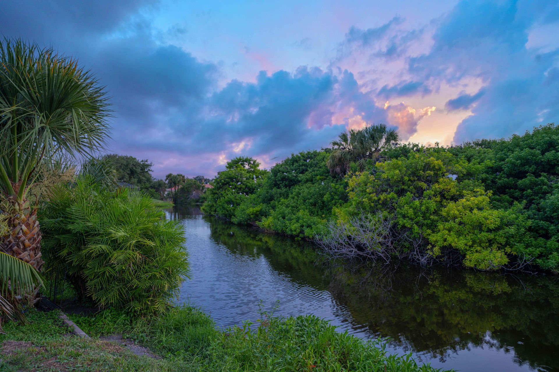 Calm river winding through lush green mangroves at dusk under a pastel blue and pink sky