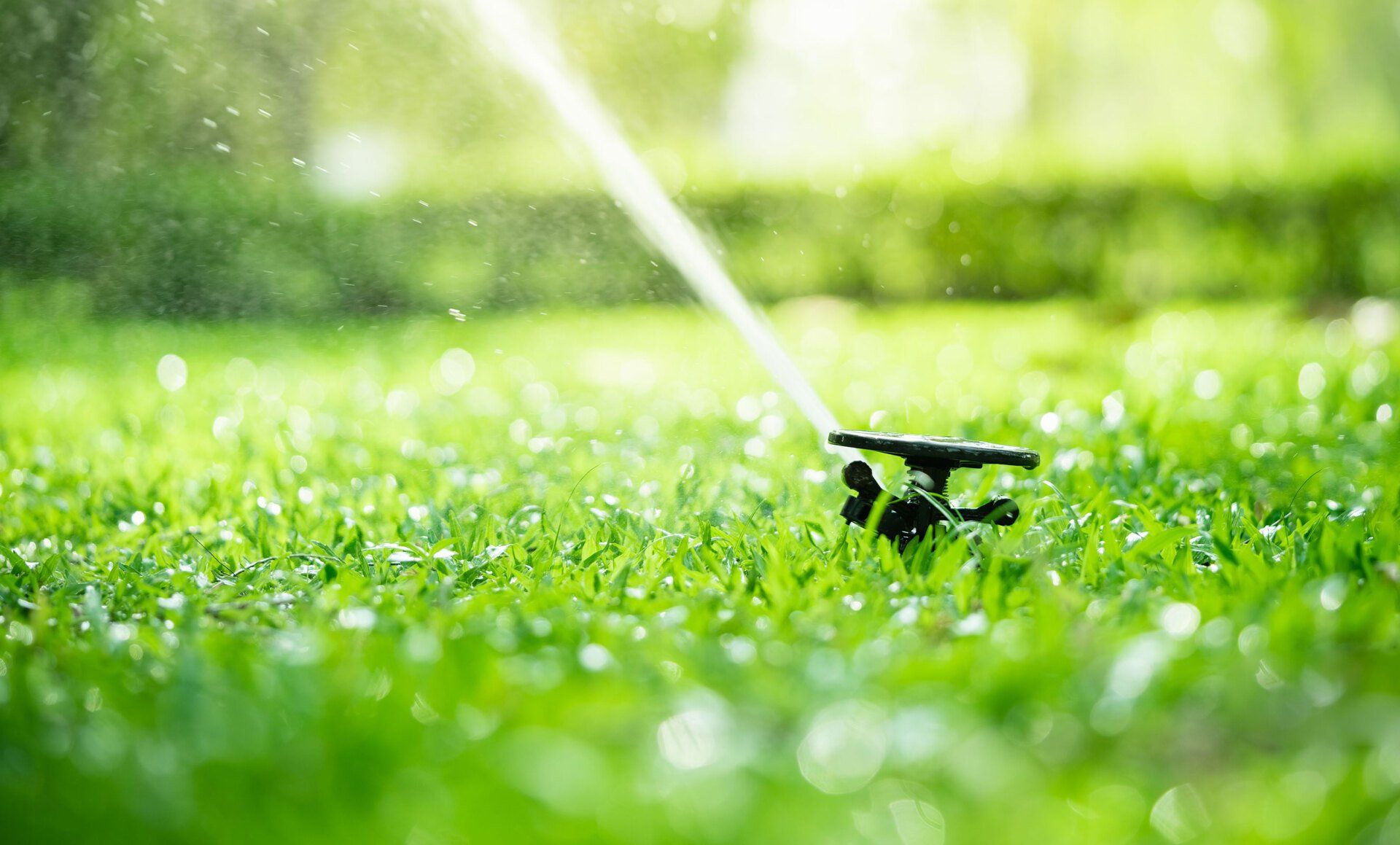 Learn More About Irrigation irrigation