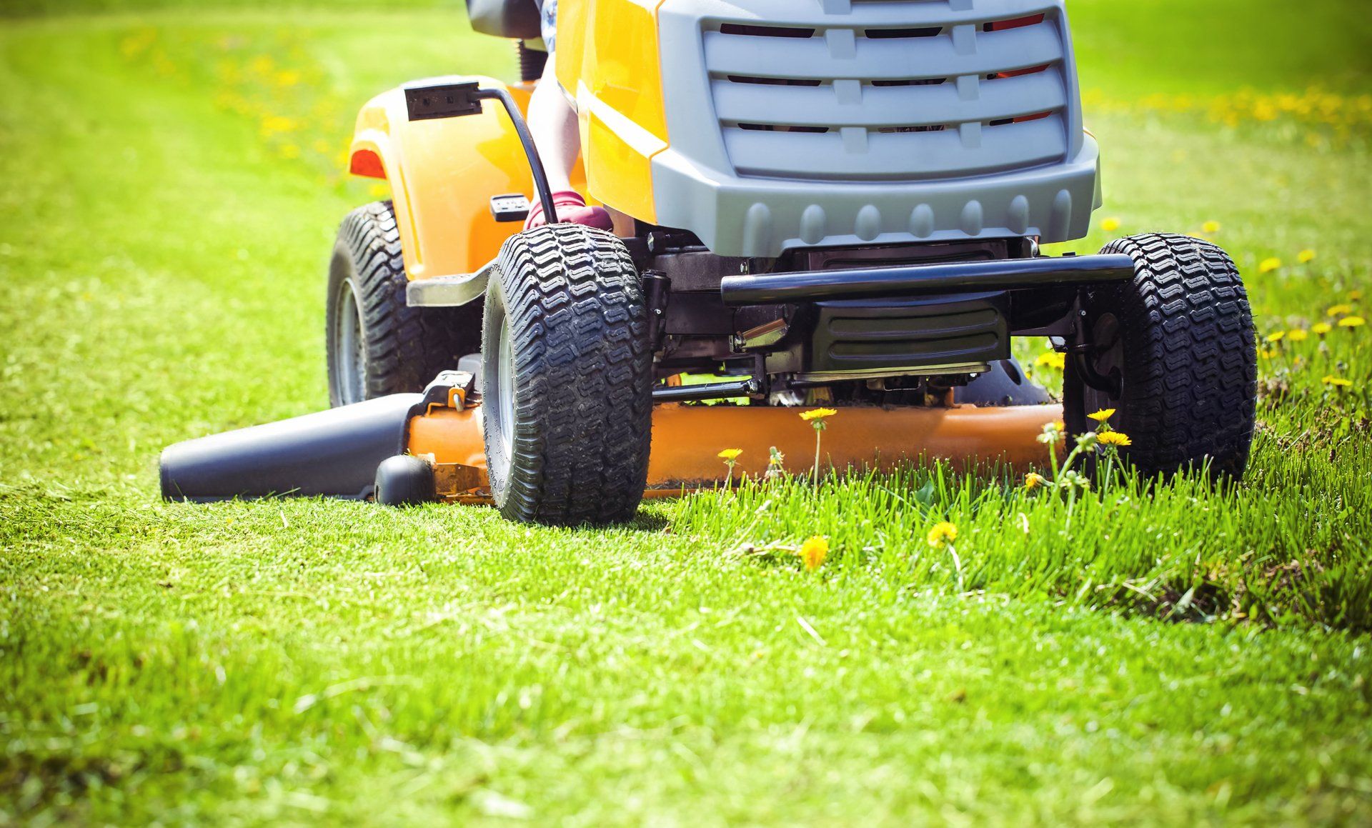 Learn More About Lawn Care mowing