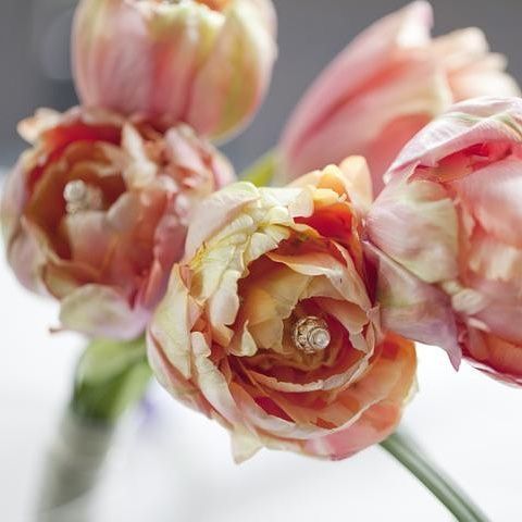 Close-up of peach and cream colored tulips with a small gem in the center of one.