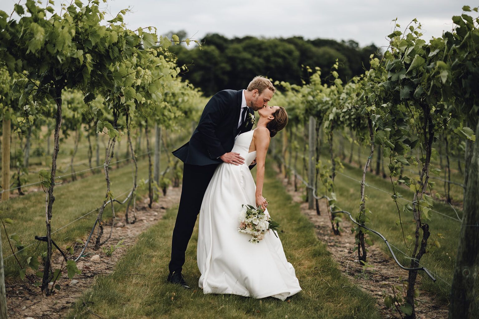 Bride and groom kissing in a vineyard. Bride in white gown, groom in a suit. Rows of grape vines.