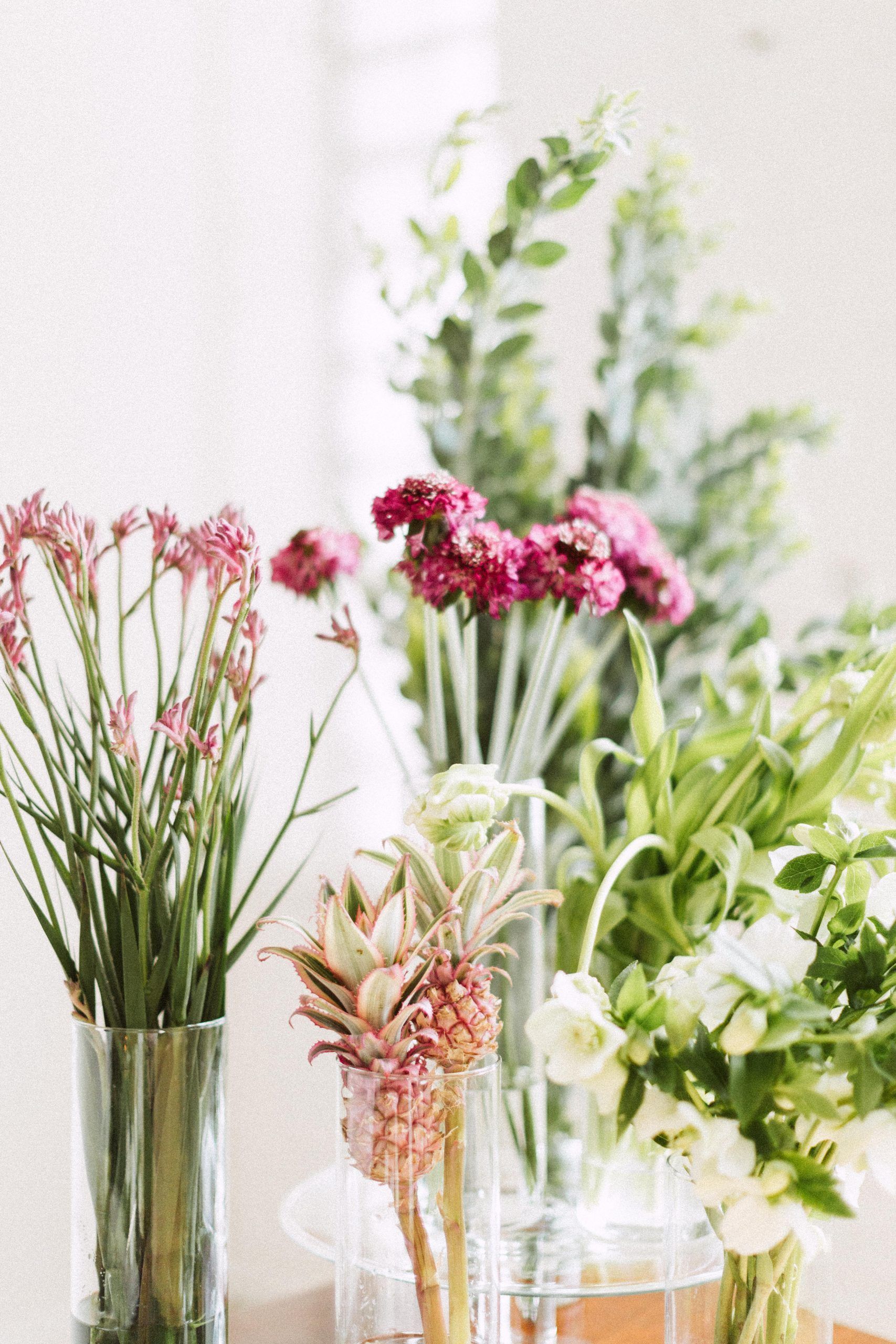 Assorted flowers in vases, including pink, red, and green, in front of a white background.