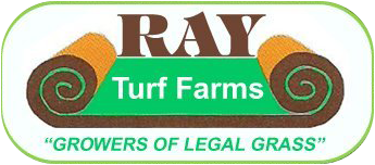 Lawn Contractor - Mead, WA - Ray Turf Farms
