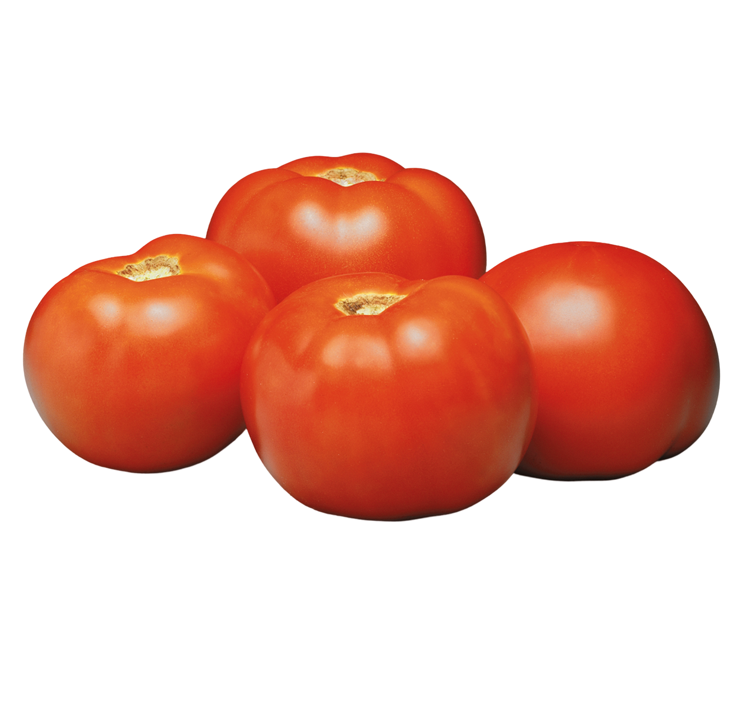 Cherry, Beefsteak, Heirloom Tomato plants for sale