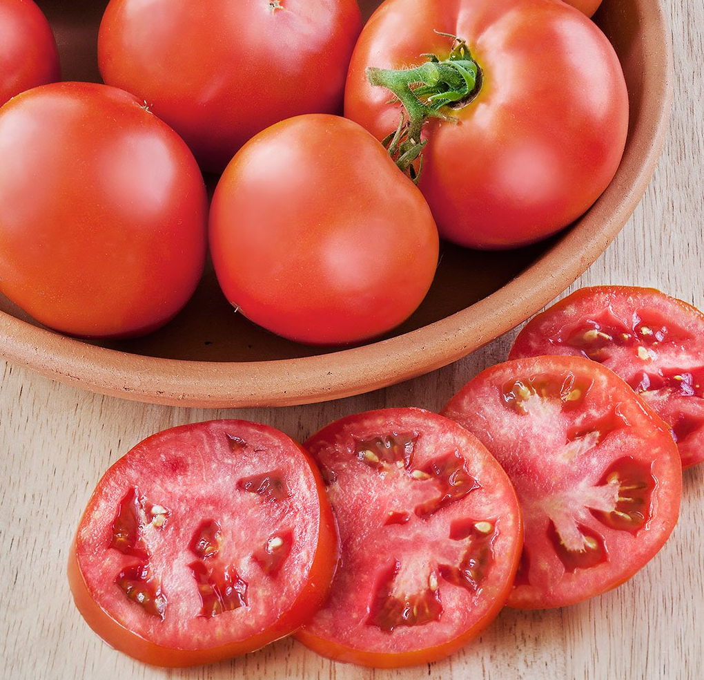 Better Bush Tomato Plants for sale in Lebanon PA