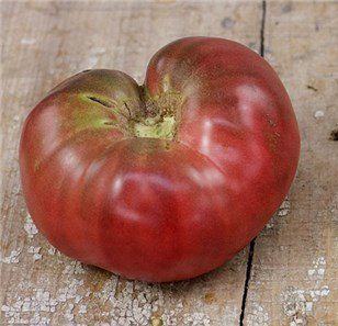Black Krim Tomato Plants for sale in Lebanon PA