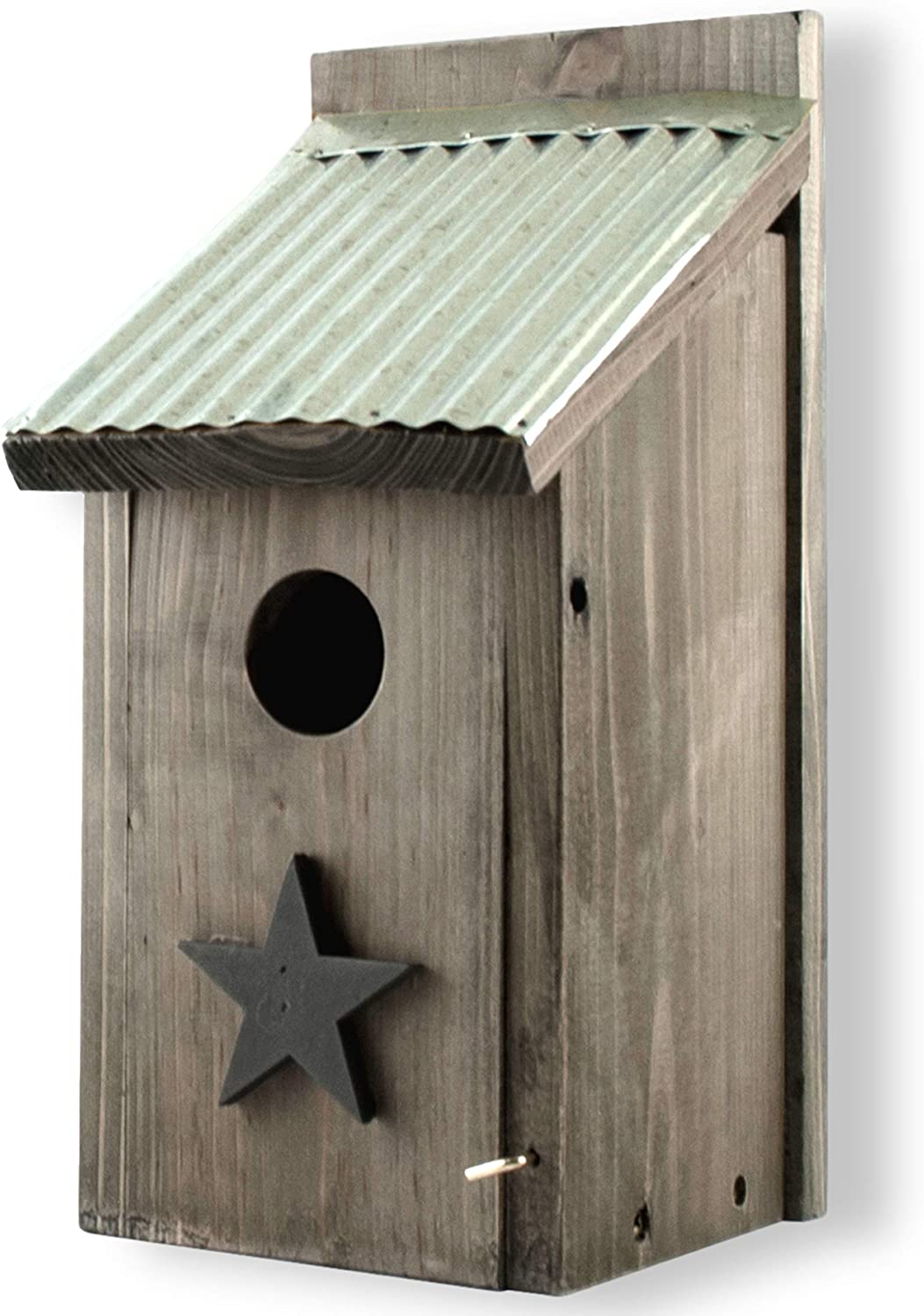 Bird house bluebird