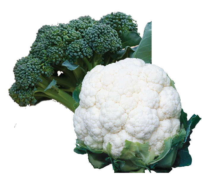 broccoli, cauliflower, cabbage, brussel sprouts for sale 