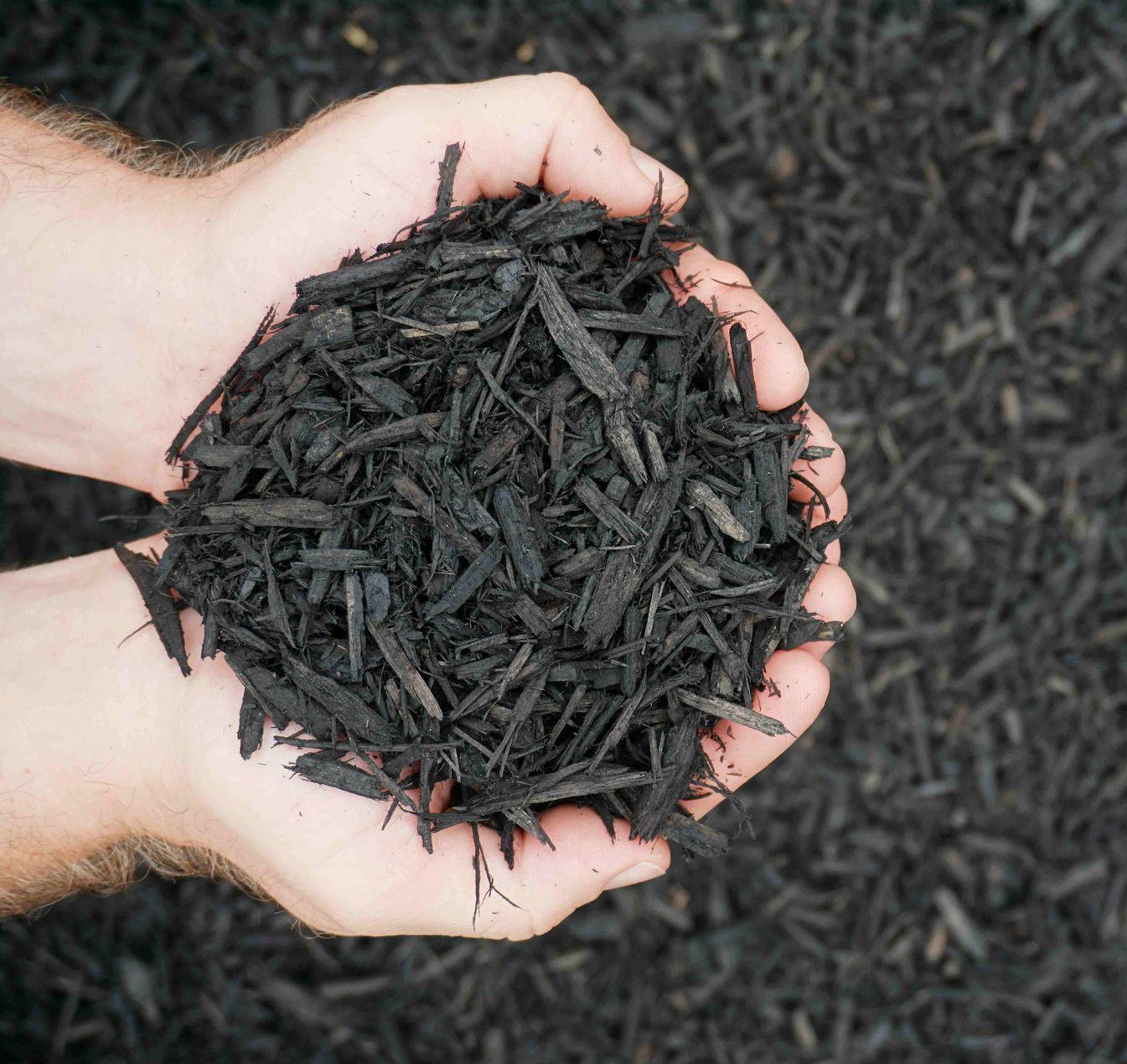 Colonial Black Dyed Mulch For Sale