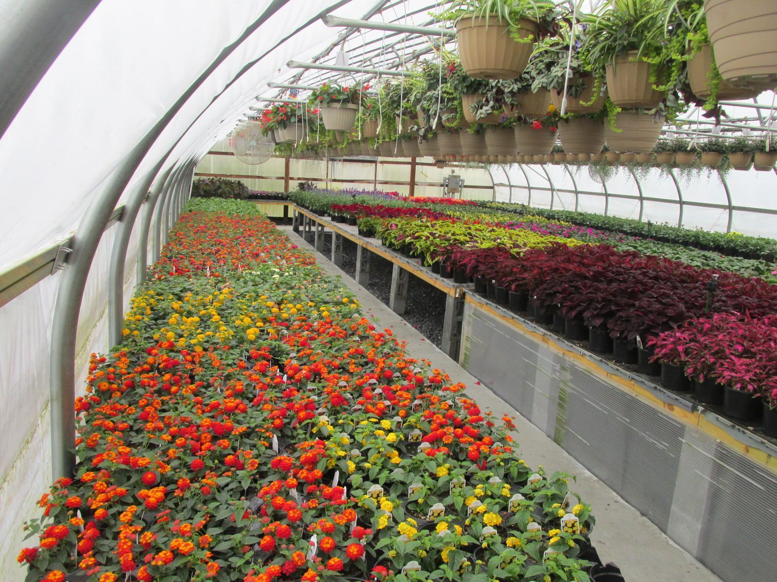 Flower Greenhouse overview