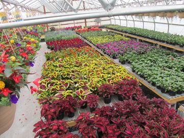 NOLT'S GREENHOUSE SUPPLIES - 151 E Farmersville Rd, Ephrata, Pennsylvania -  Nurseries & Gardening - Phone Number - Yelp