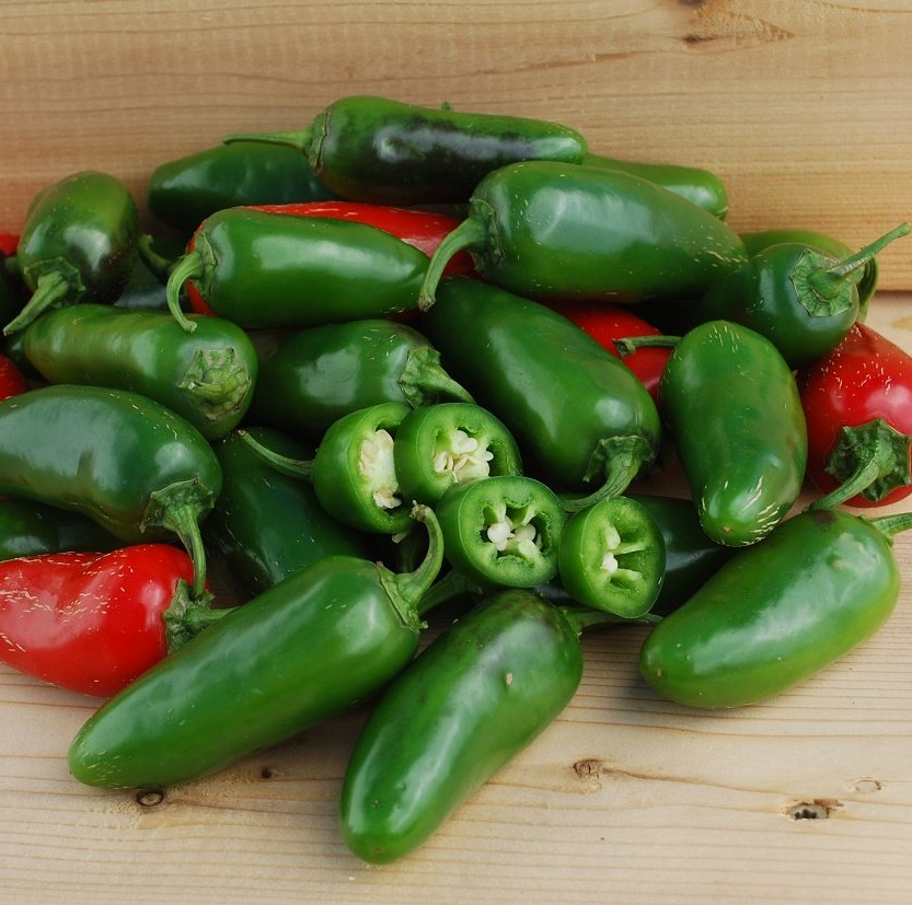 Jalapeno Hot Pepper Plants for sale in Lebanon PA