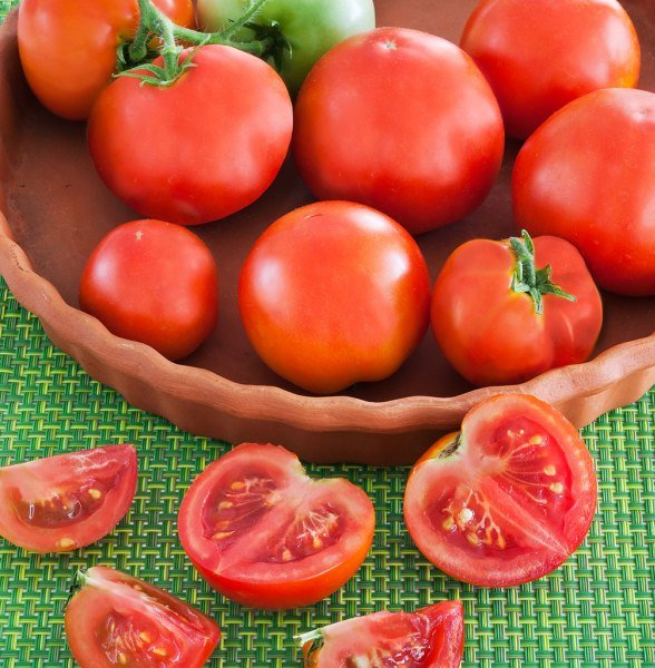 Patio Tomato Plants for sale in Lebanon PA