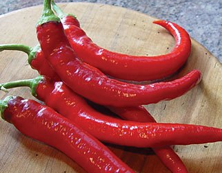 Cayenne Hot Pepper Plants for sale in Lebanon PA