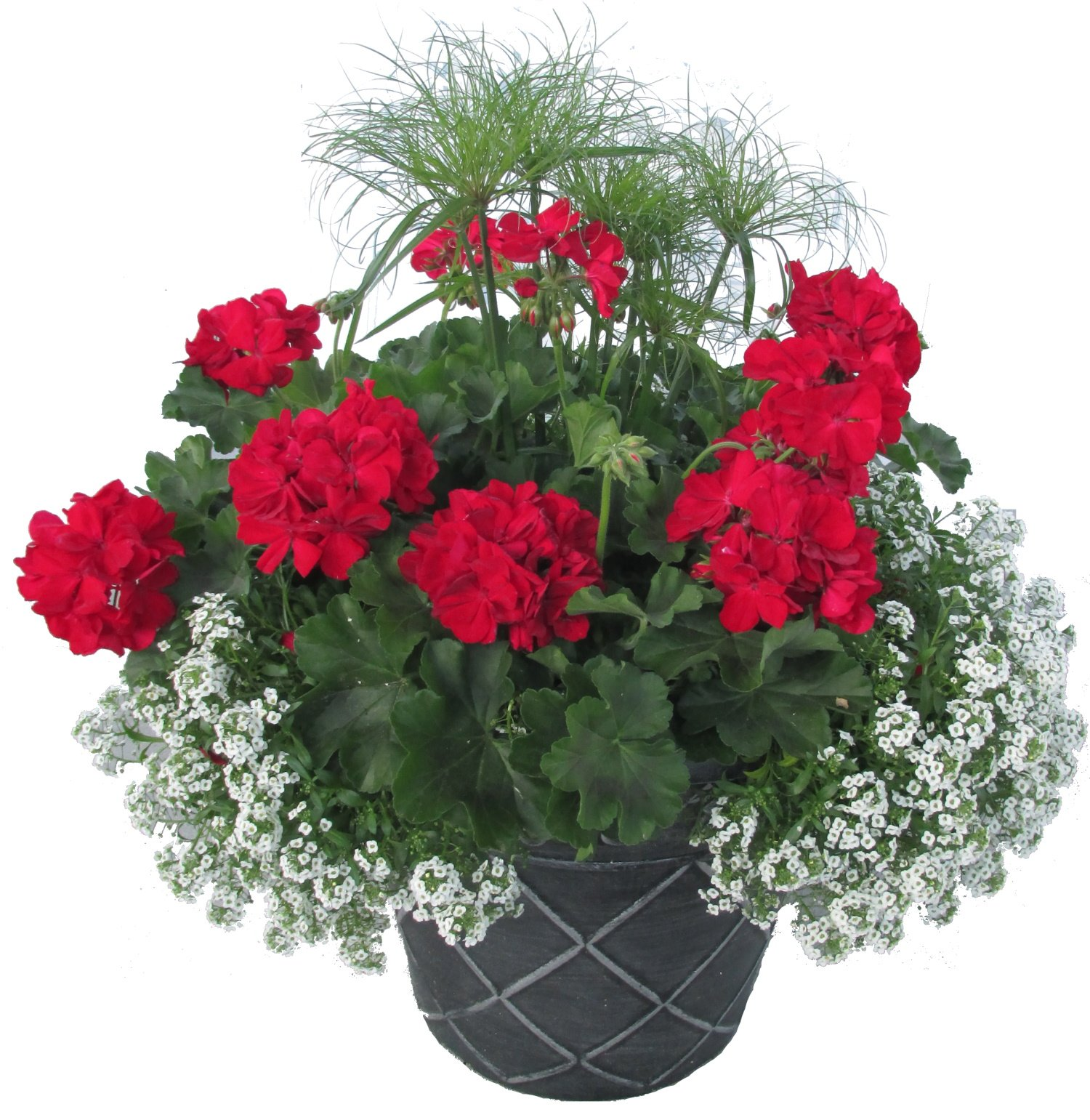 Flower planters for sale