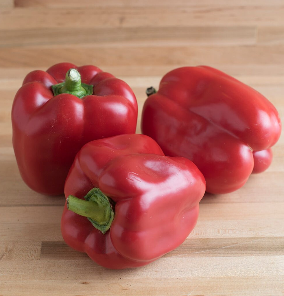 Red Knight Bell Pepper Plants for sale in Lebanon PA