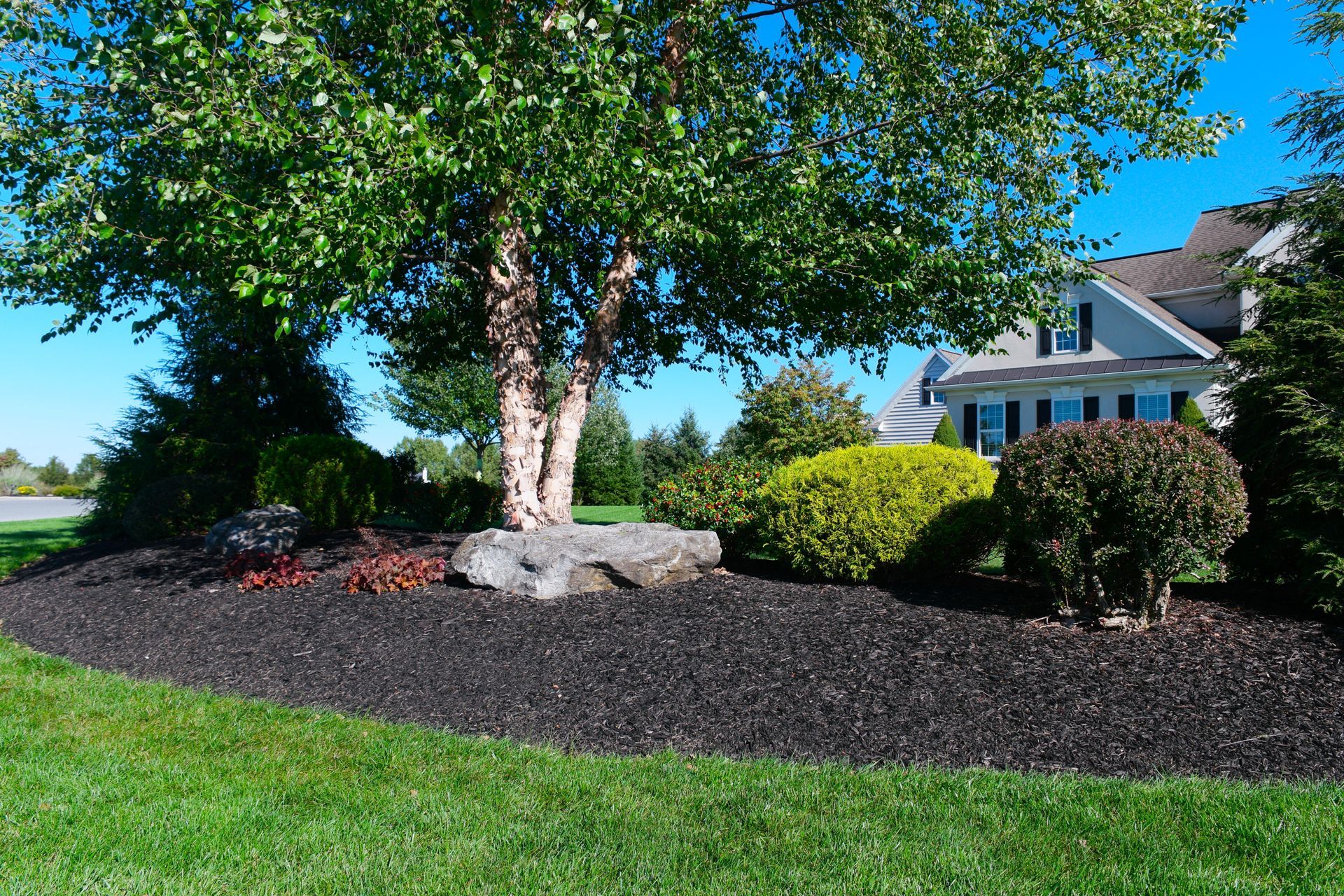 Bulk Colonial Black Dyed Mulch For Sale near me delivered to Lebanon, Annville, Palmyra, & Cornwall.