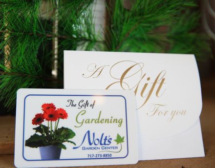 gift cards certificate