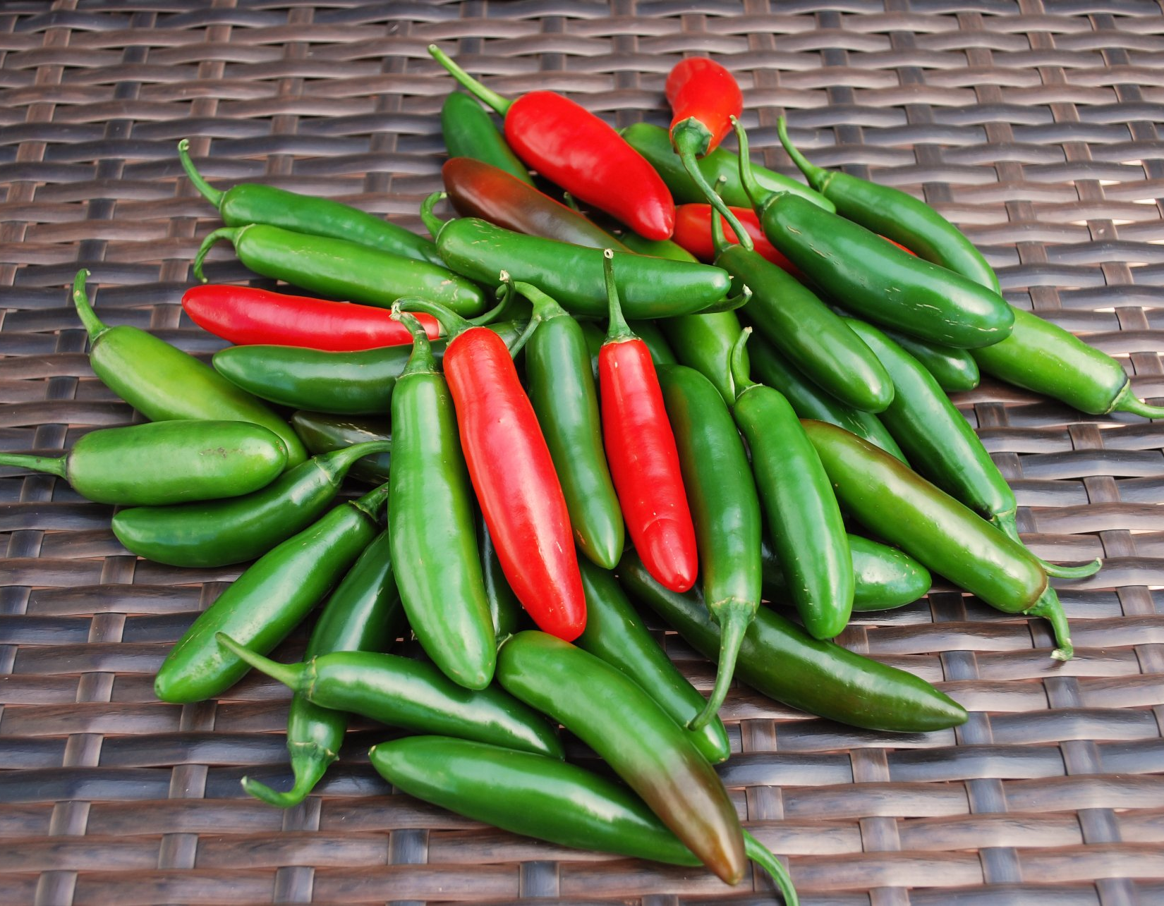 Serrano Hot Pepper Plants