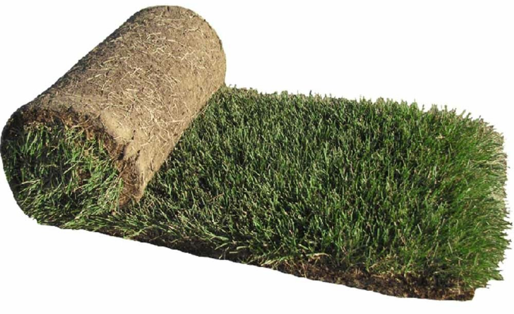 Rolls of Sod Grass for sale