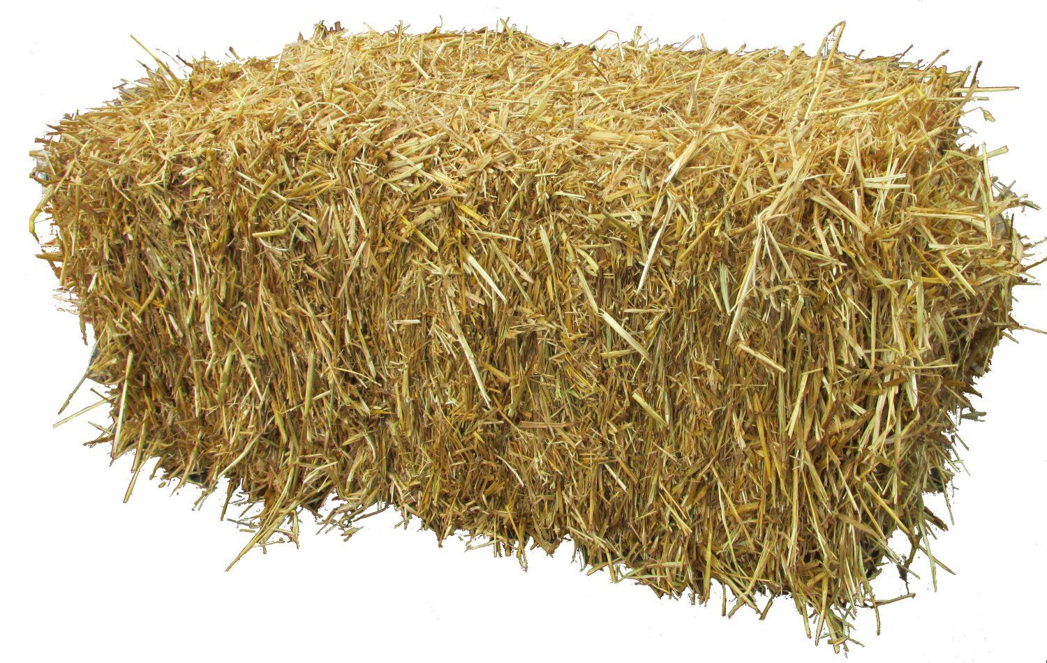 fall straw bales