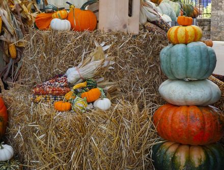 fall straw bales