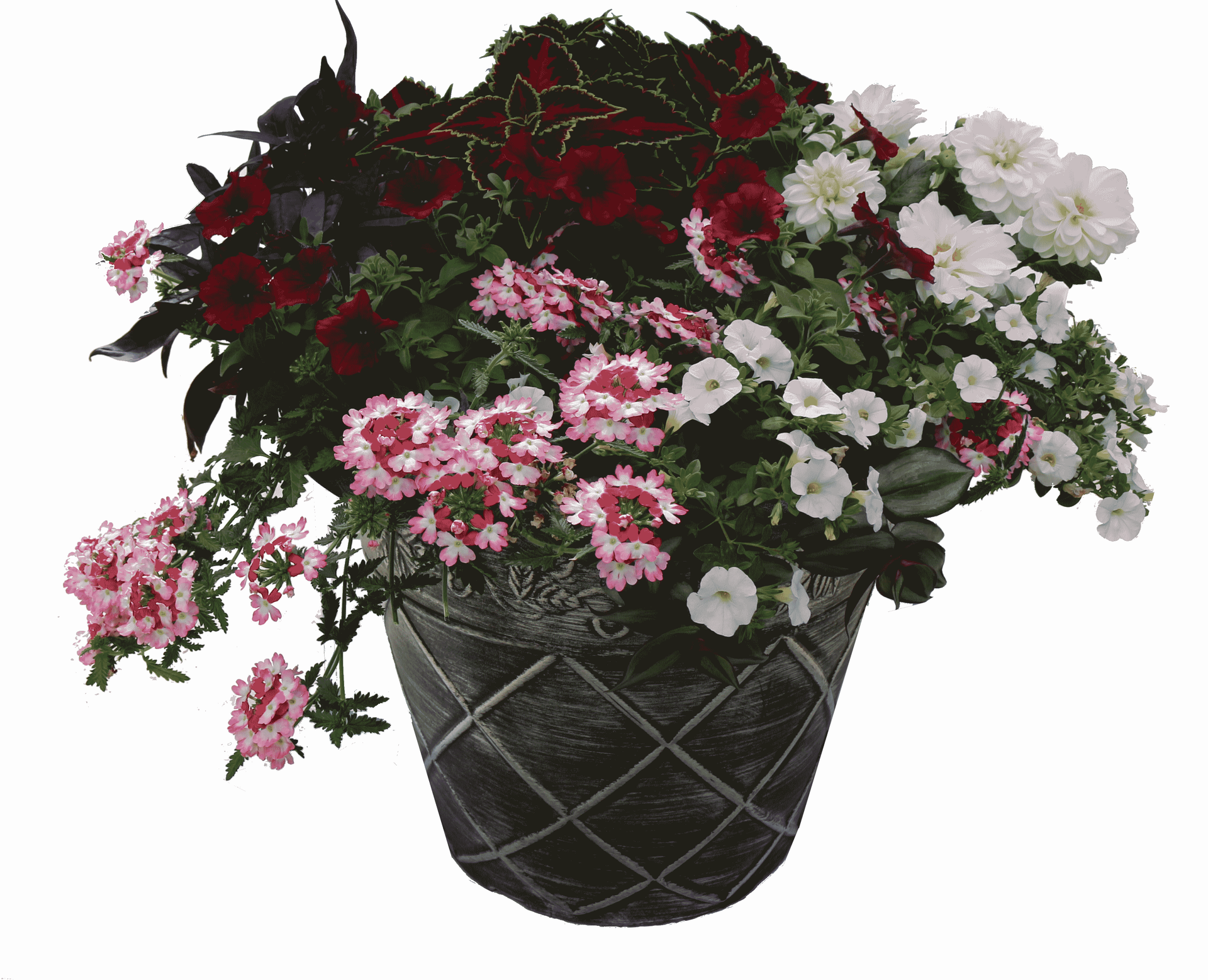 basket of mixed flowers in various colors