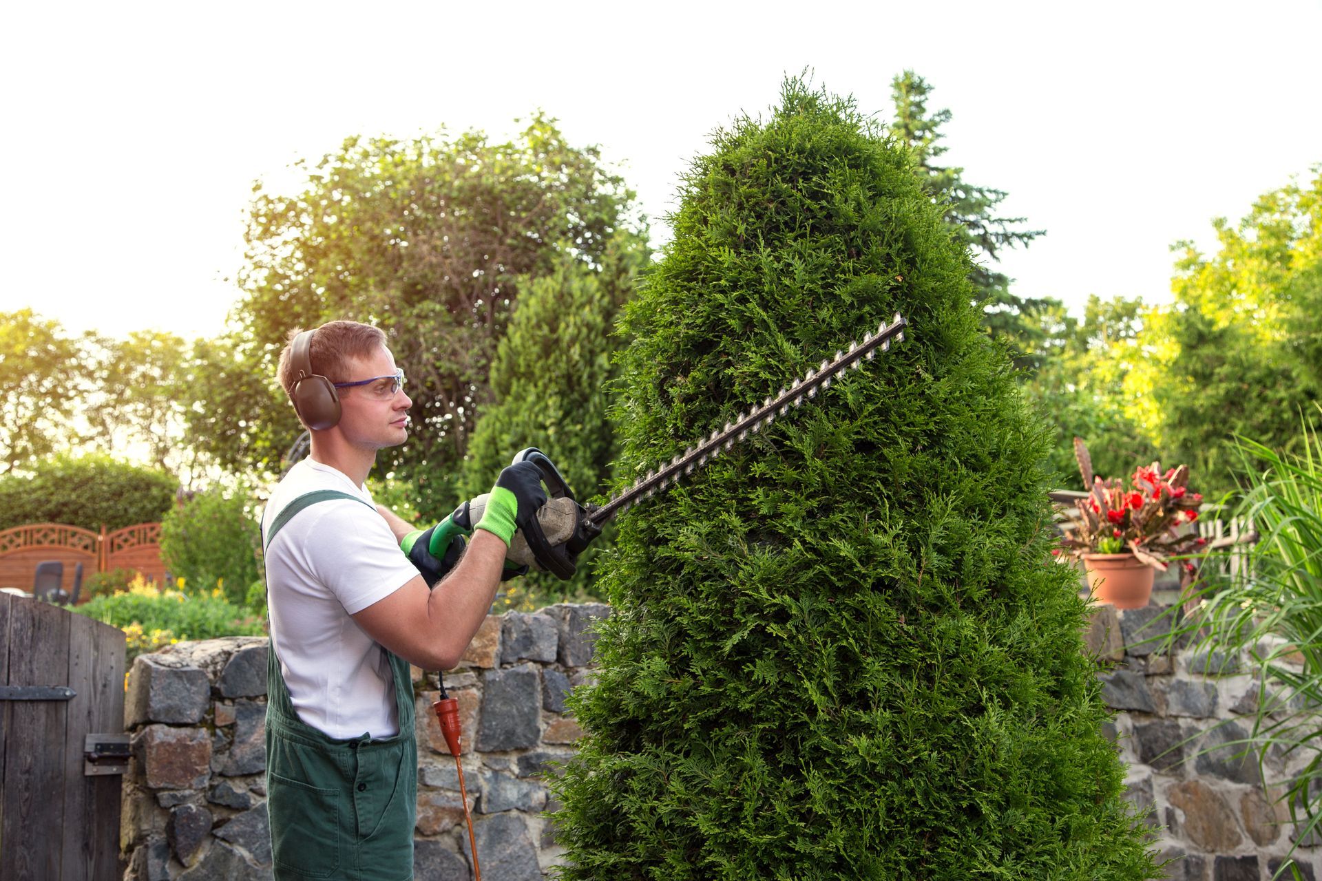 tree removal services