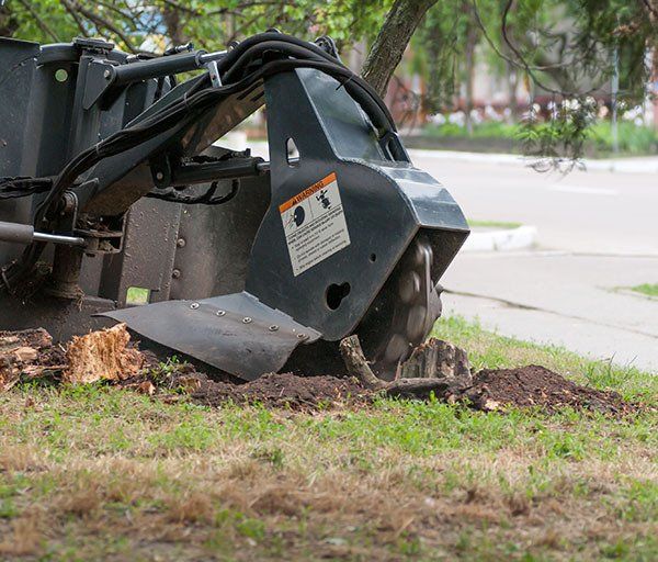 Stump grinding