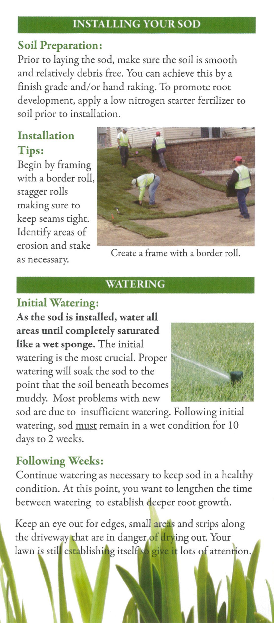 installing and watering sod