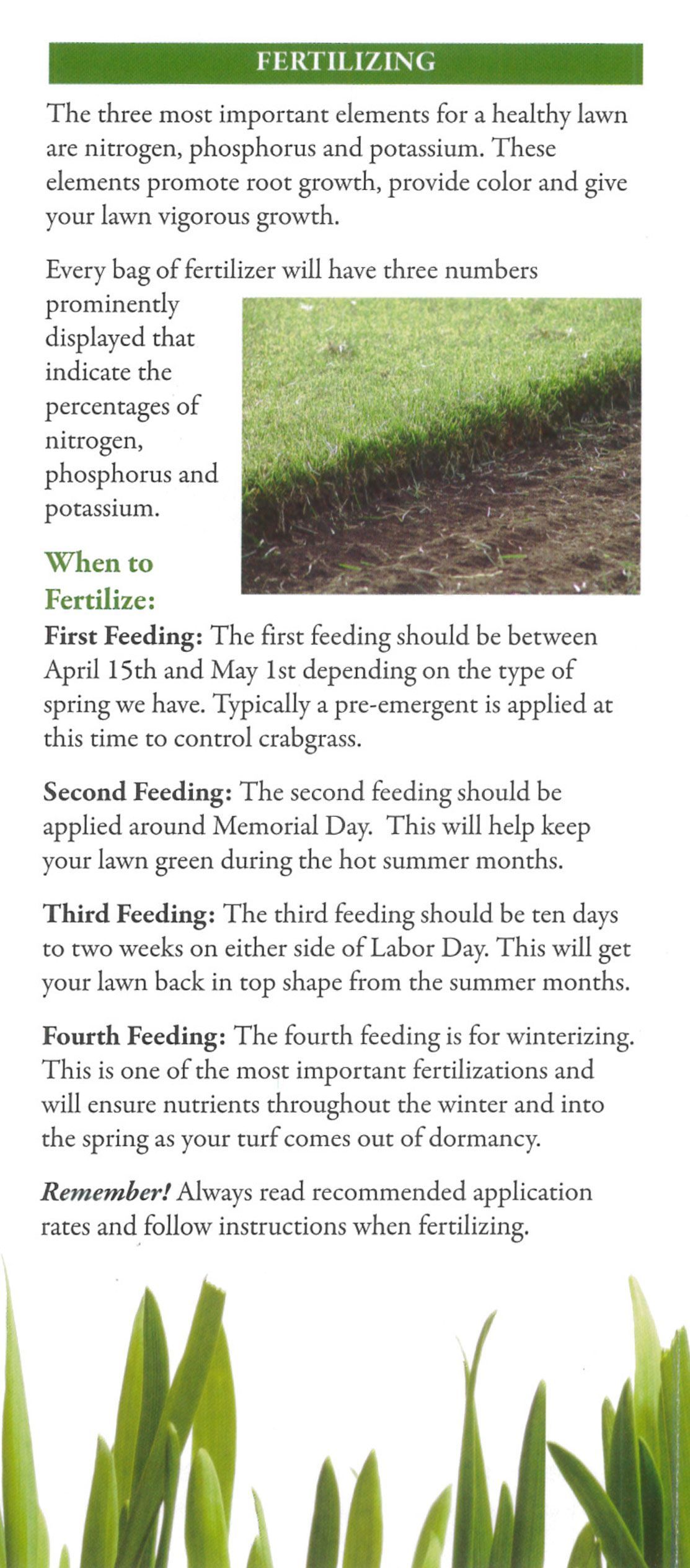 fertilizing tips