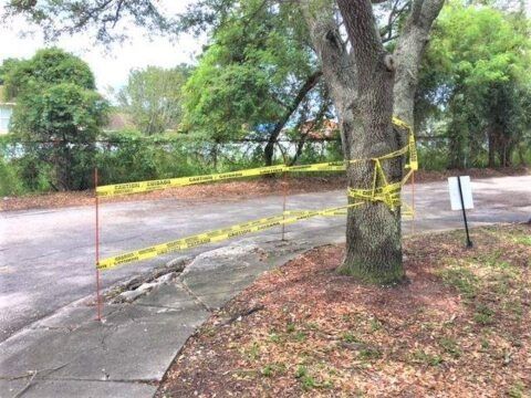 Caution tape blocks a cracked sidewalk near a tree in a wet, wooded area.