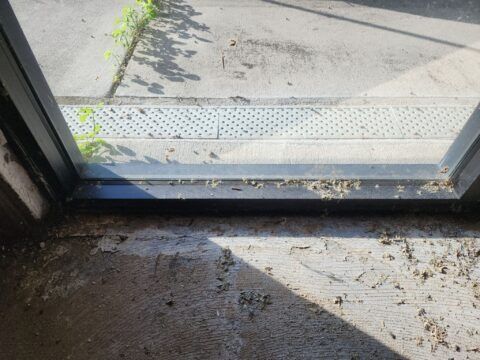 Dirty doorway threshold with debris and a black-framed glass door