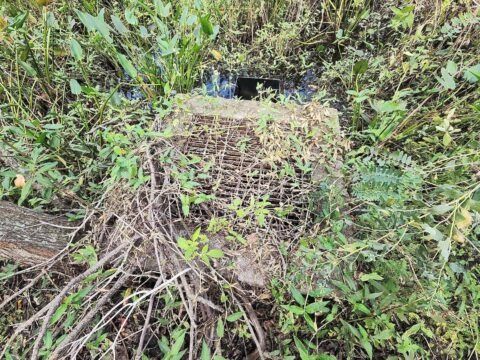 A fallen woven basket or trap tangled in green brush and dry twigs outdoors.