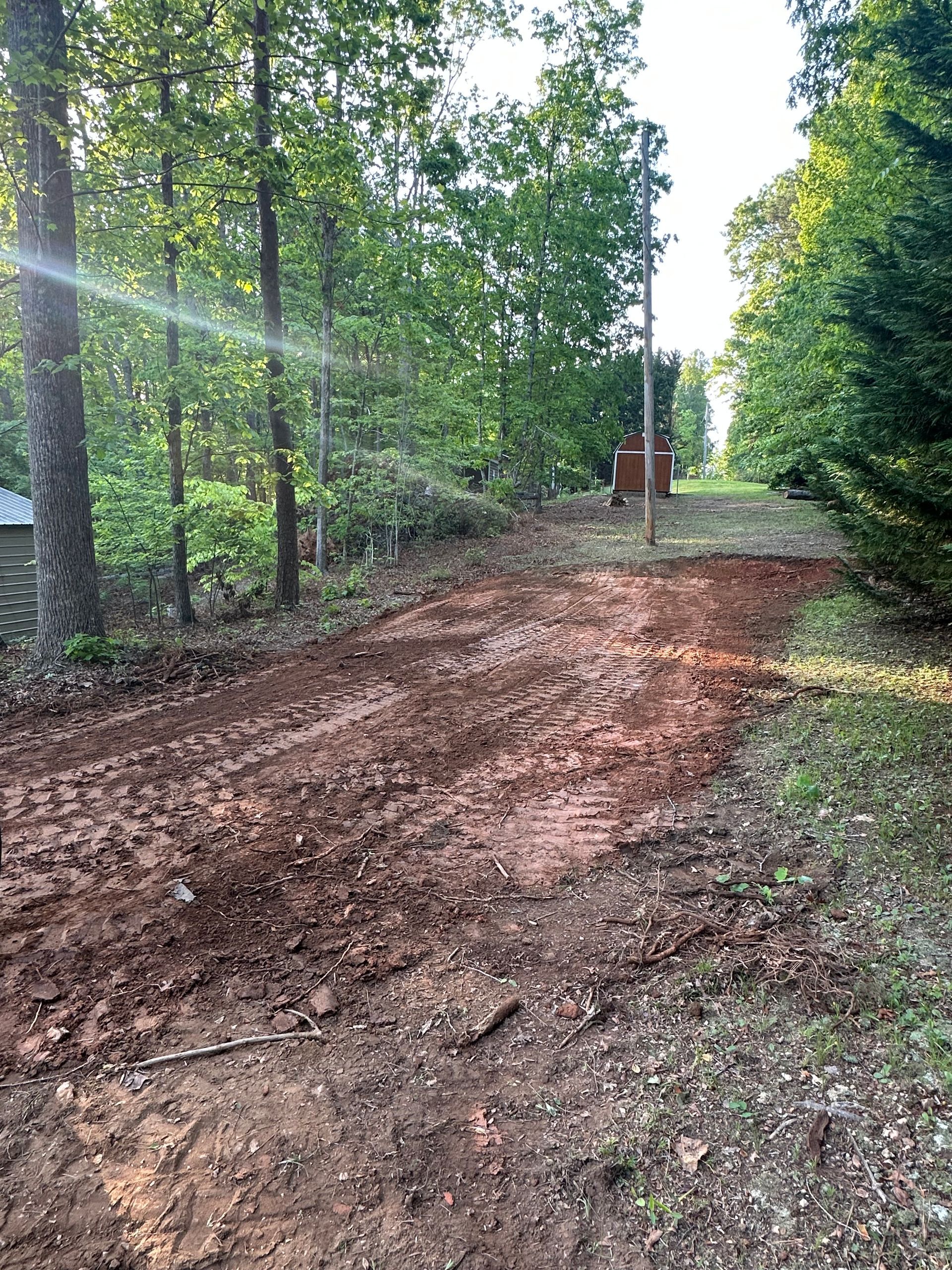 A dirt road going through a forest with trees on both sides.