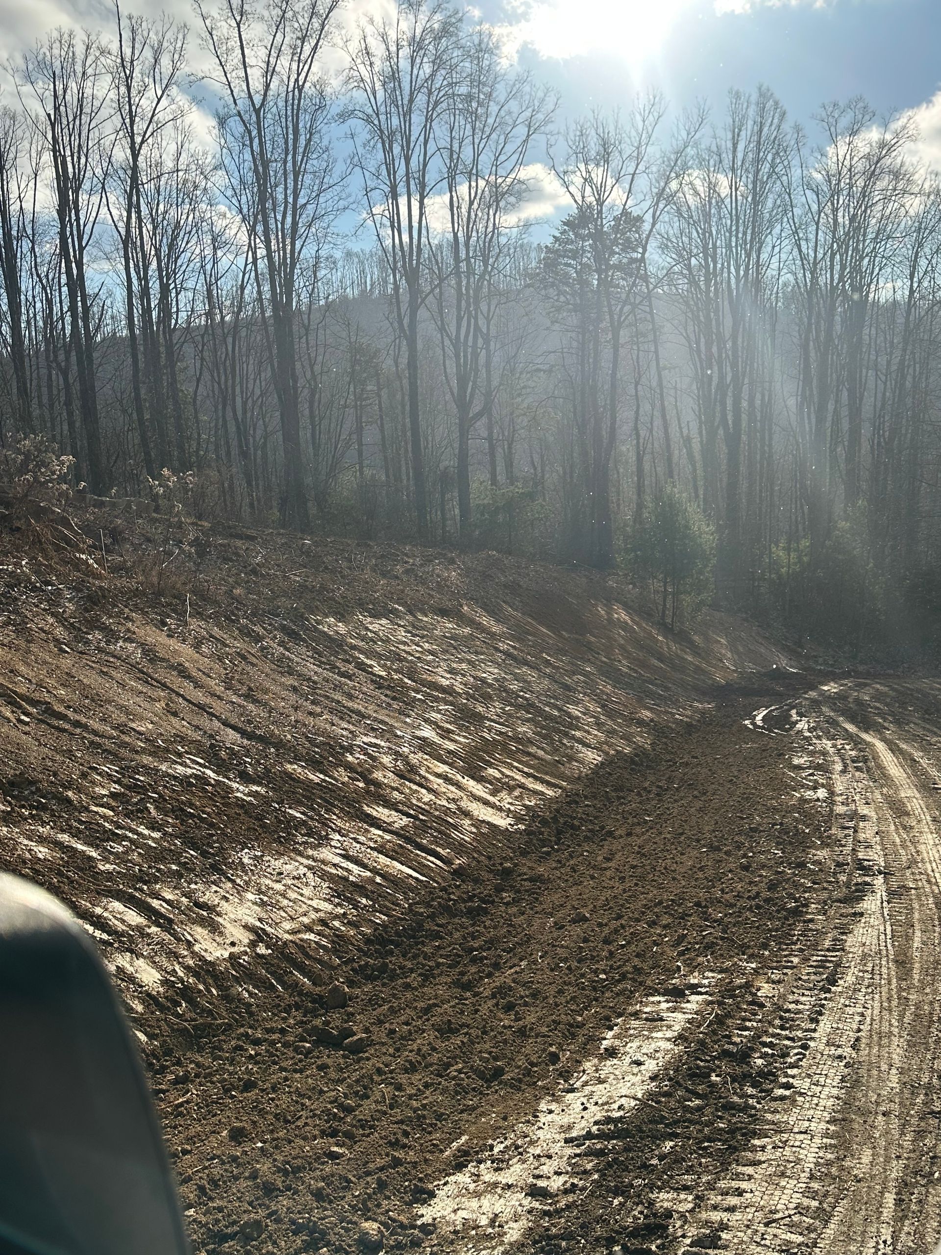 A person is driving down a dirt road in the woods.
