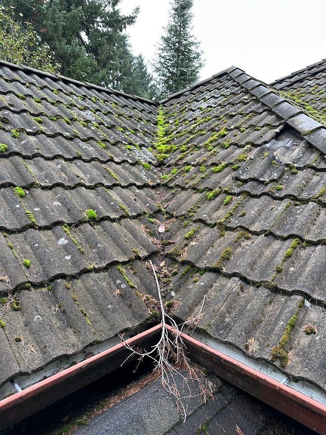 Gallery Buena Vista Roofing Inc