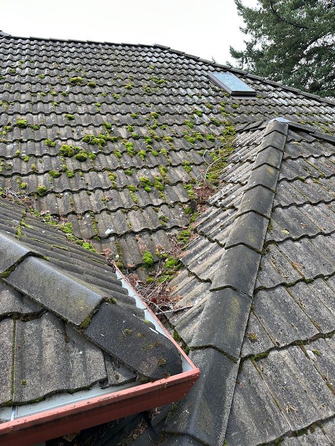 Gallery Buena Vista Roofing Inc