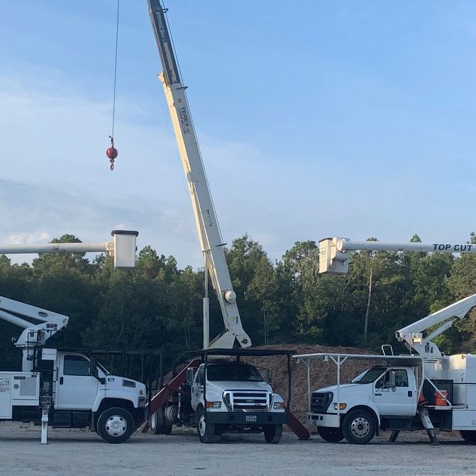 Tree Service Conroe, TX Top Cut Tree Service