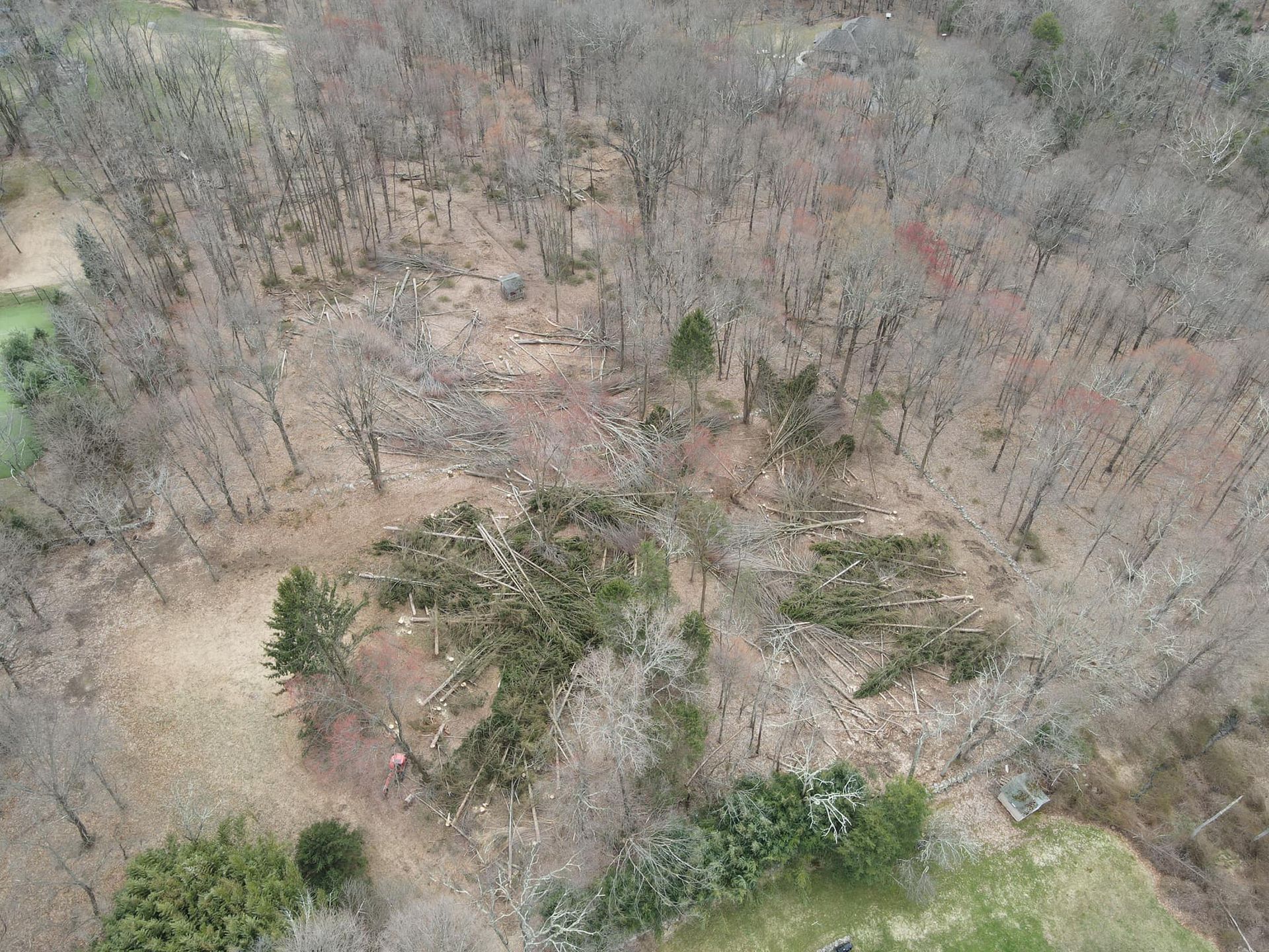 Aerial view of a deforested area within a forest; scattered tree debris visible.